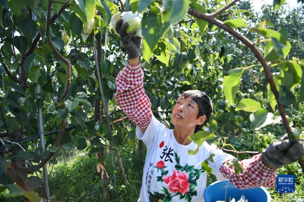 捕鱼游戏单机版下载